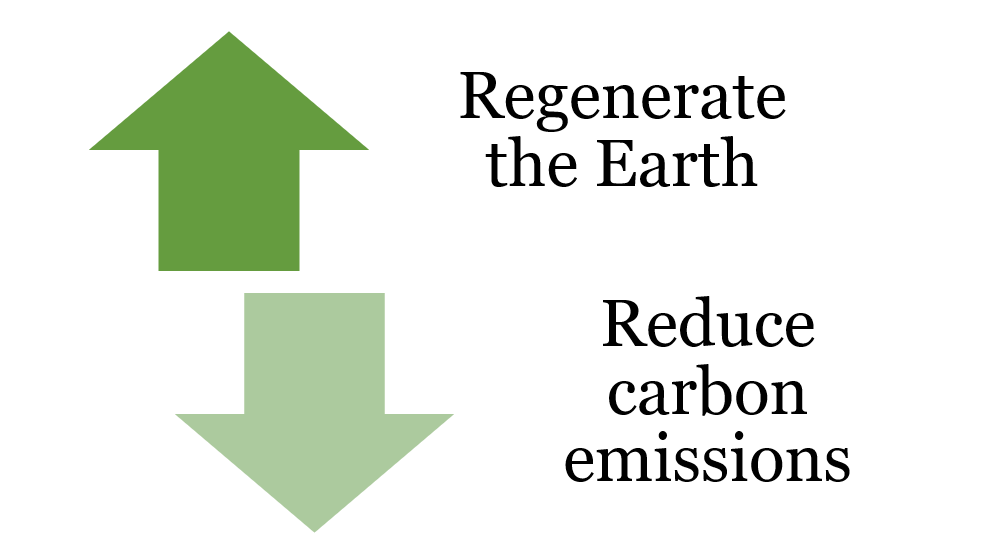 Homepage Graphic - Regnerate and Reduce